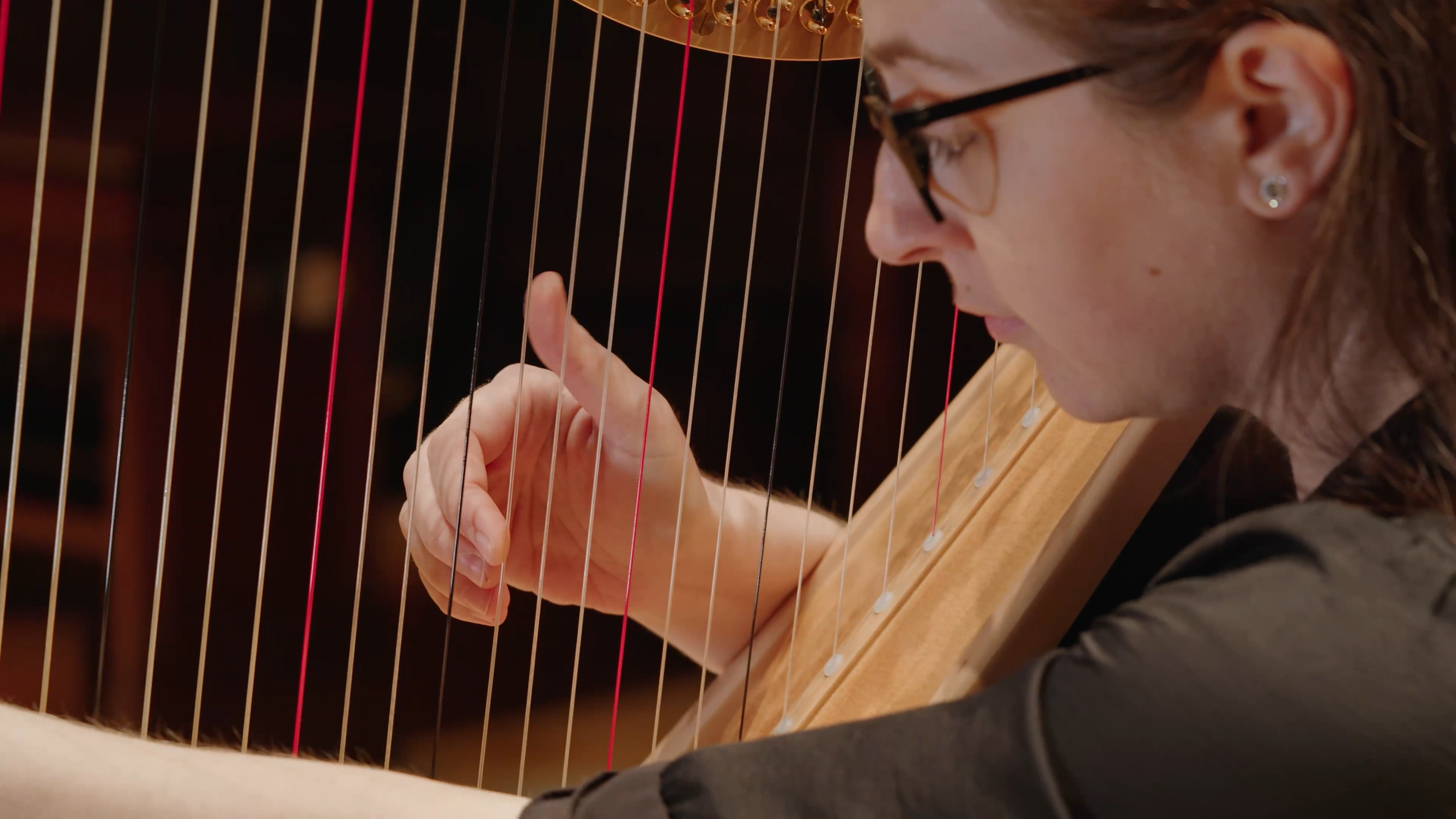Carla Fabris: Harpist