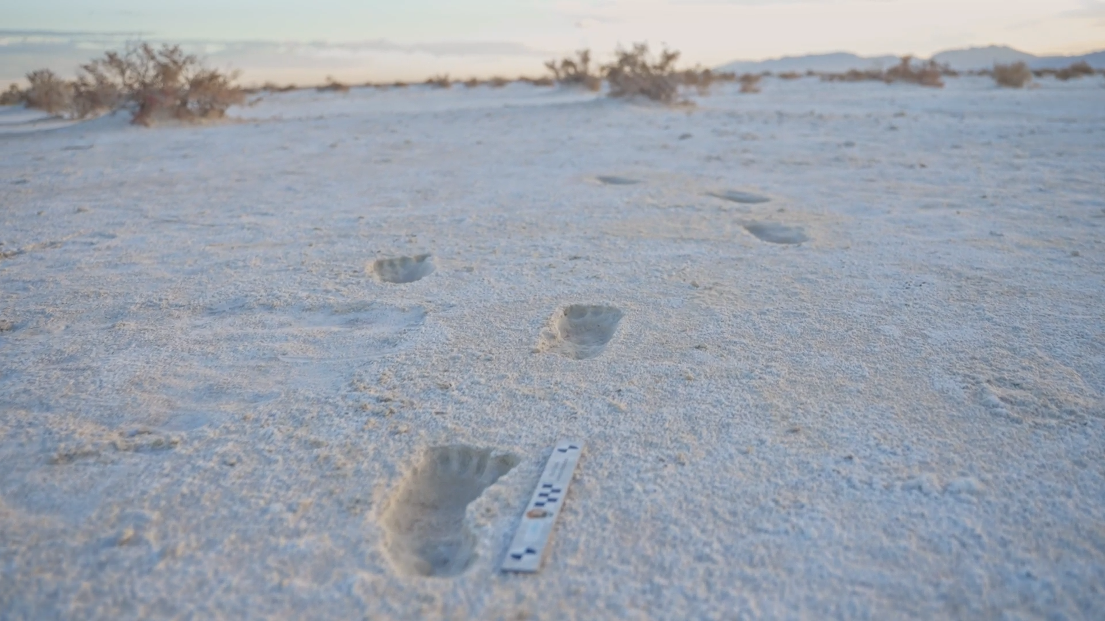 Footprints From the Past