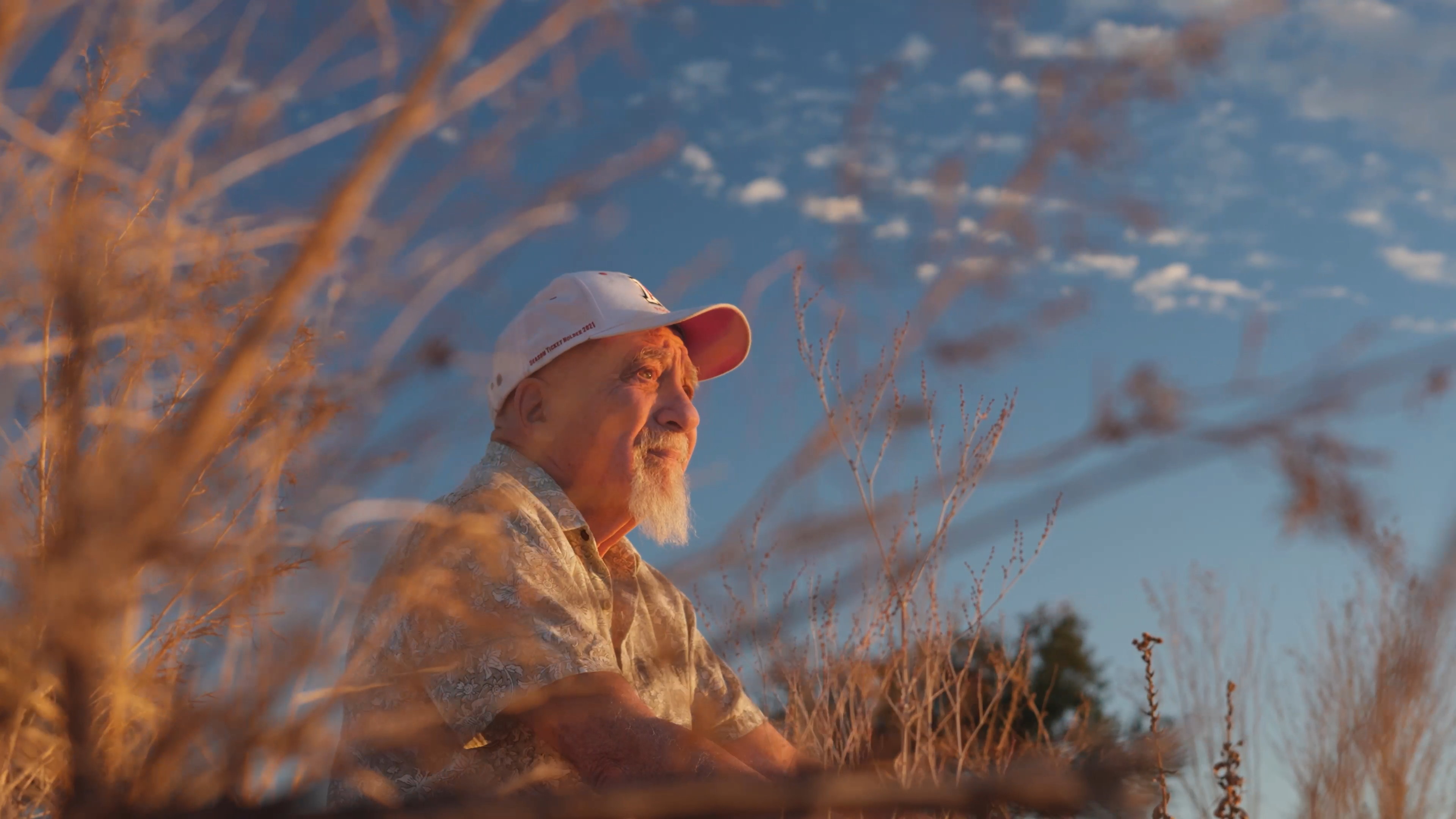 Quantum Consciousness and the Origin of Life