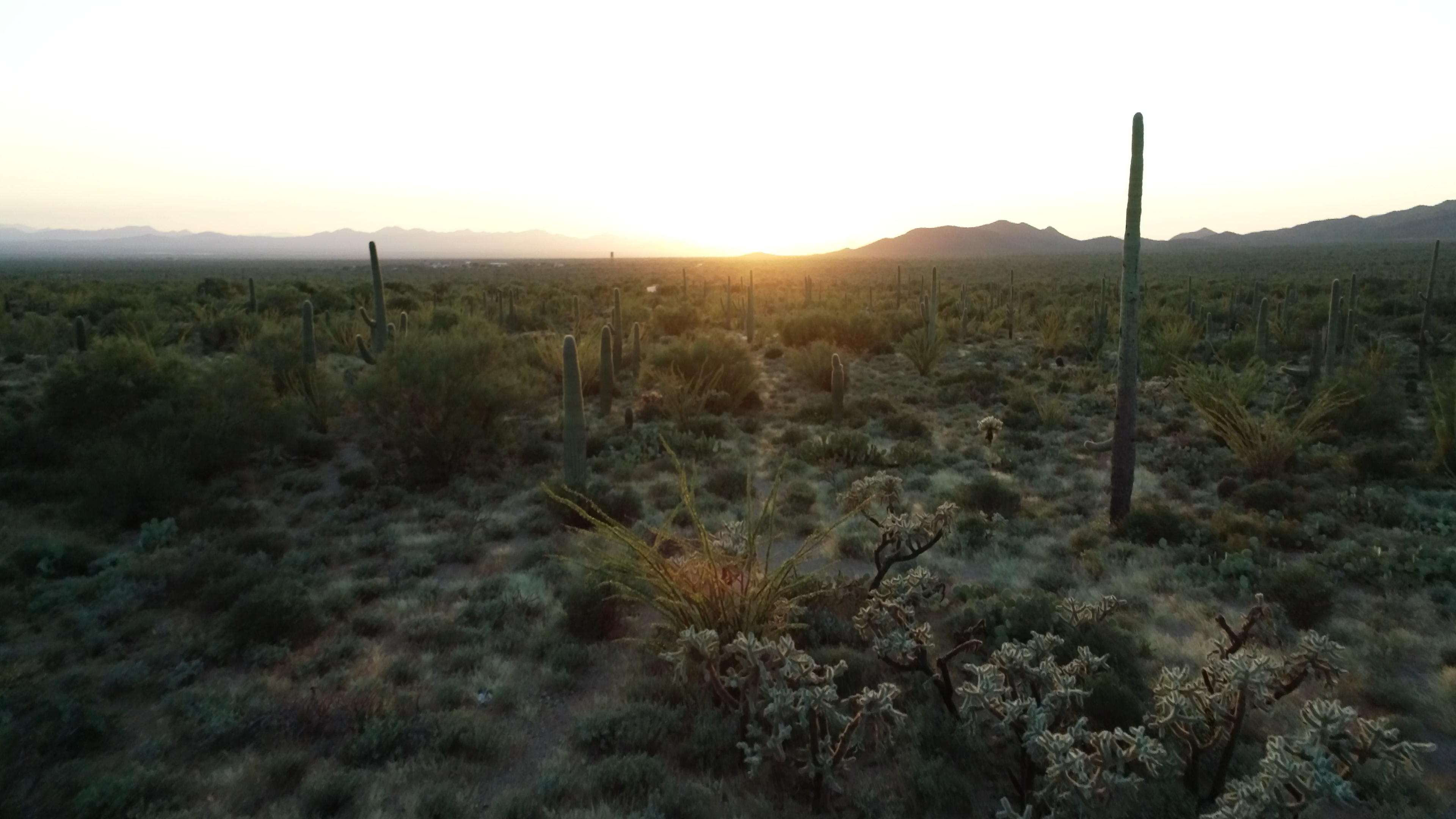 An Unequivocal Truth