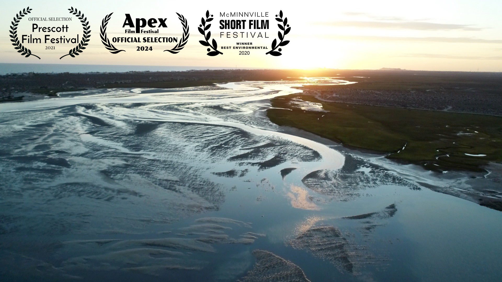 Women of the Sea (Mujeres del Mar)